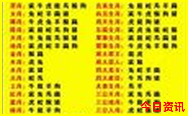新澳门开奖结果2025开奖记录查询表格下载